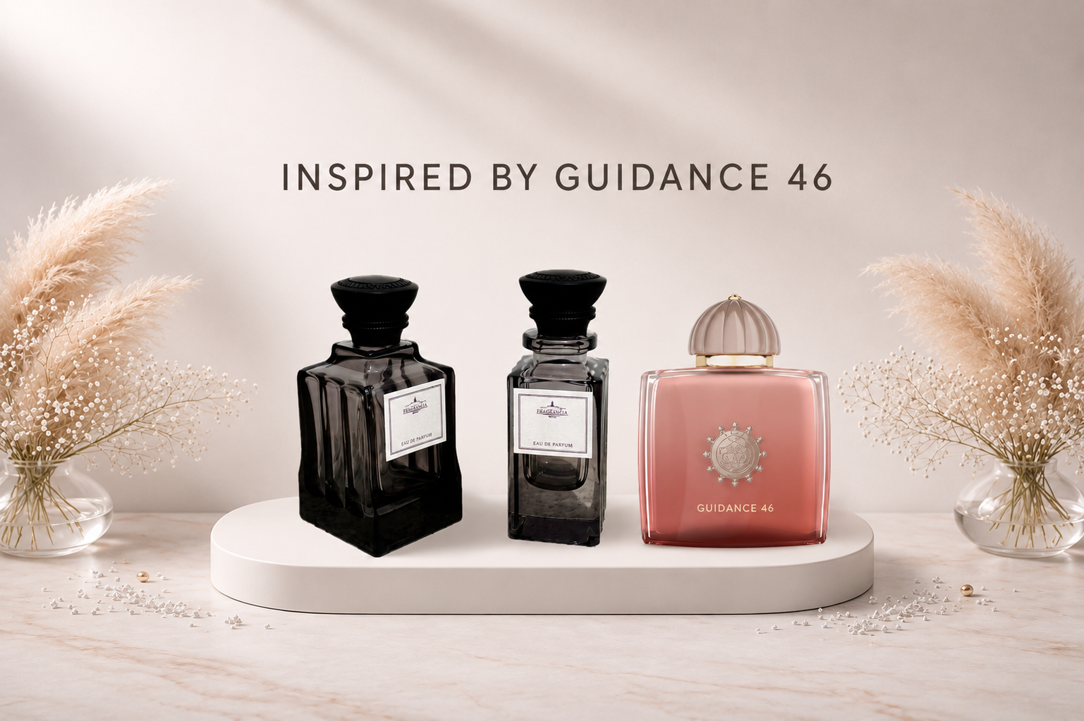 guidance 46