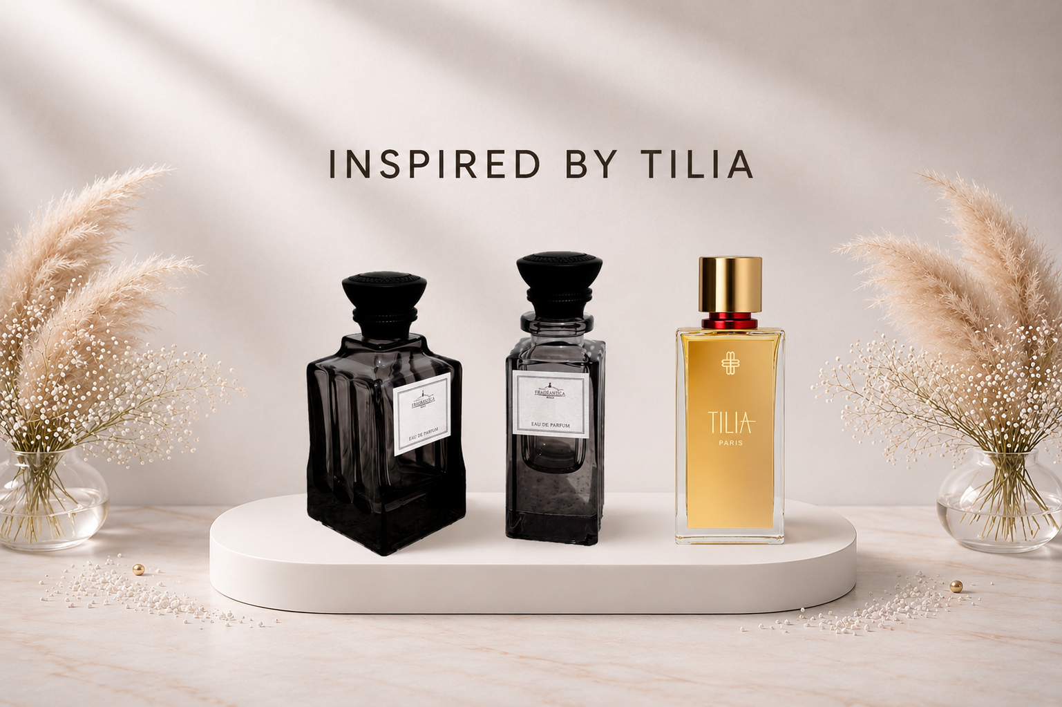 tilia
