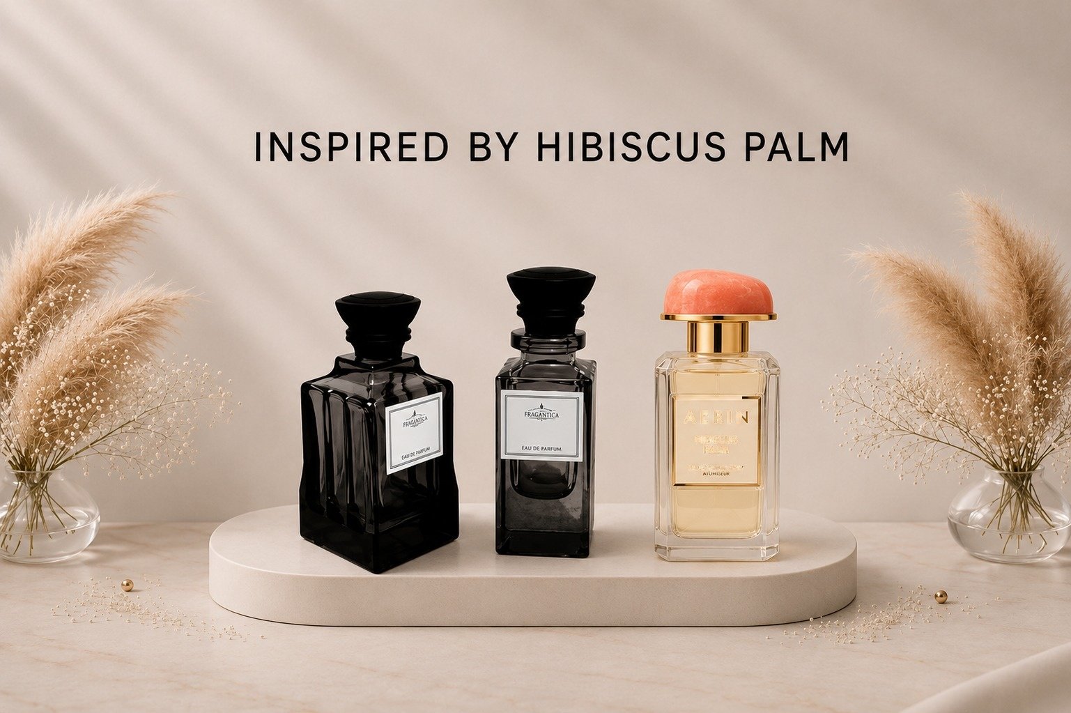 hibiscus palm