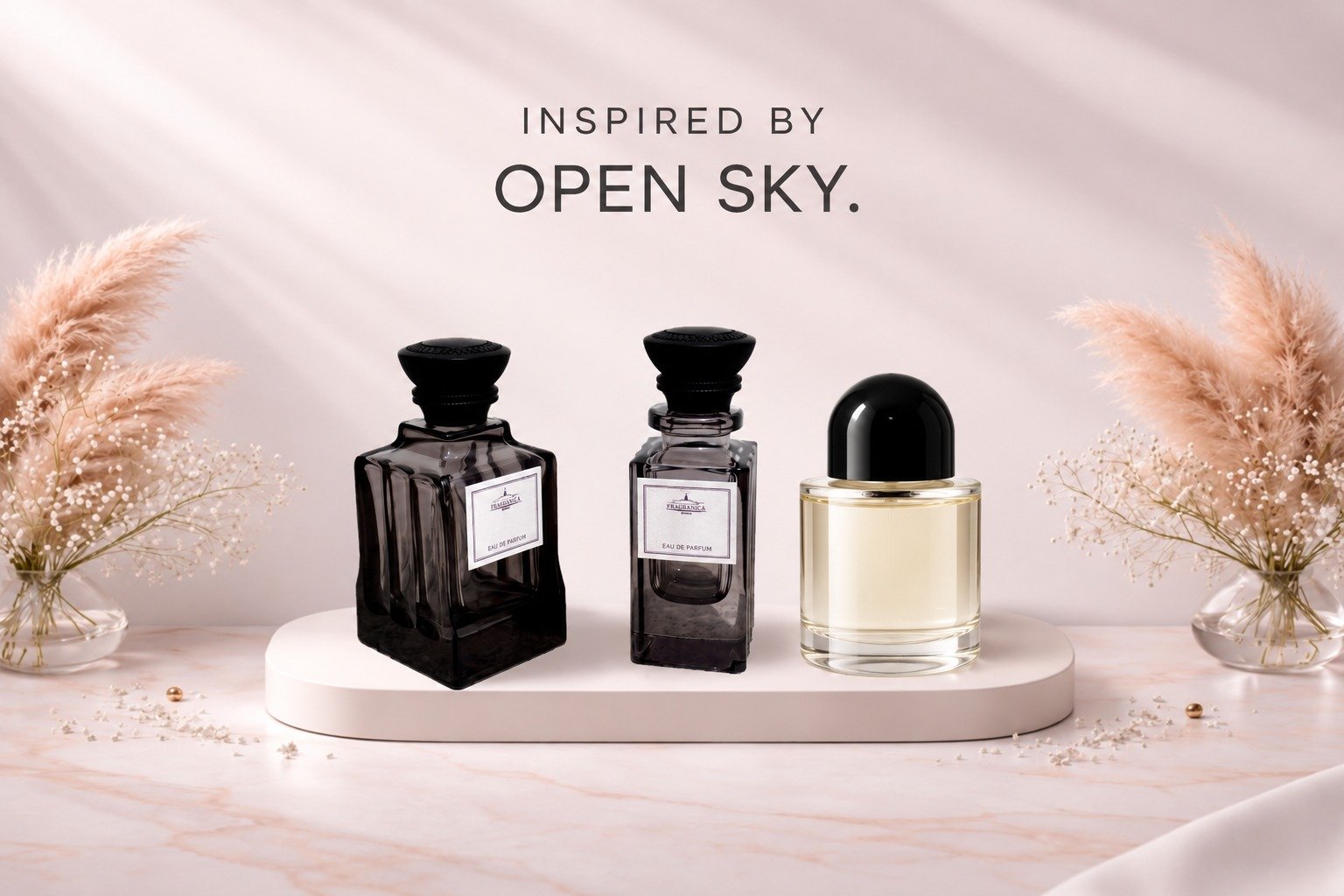 Open Sky
