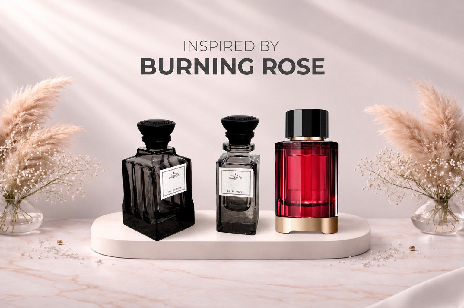 Burning Rose