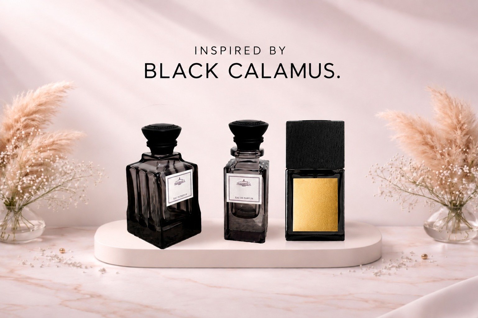 Black Calamus