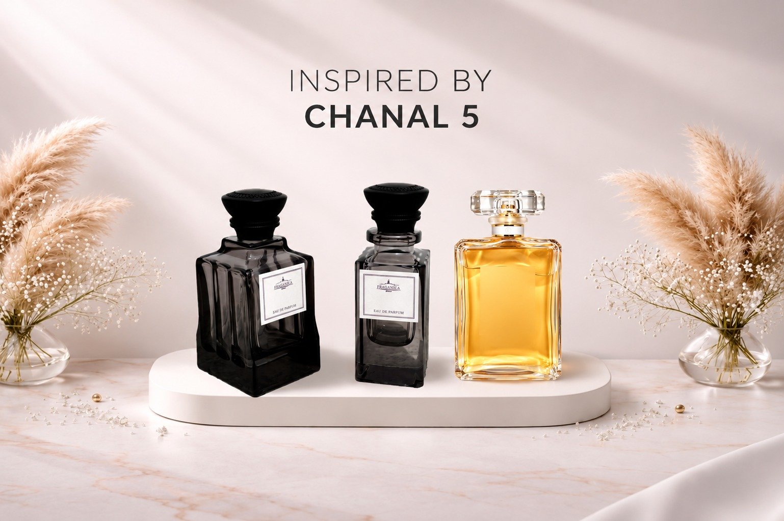 Chanal 5