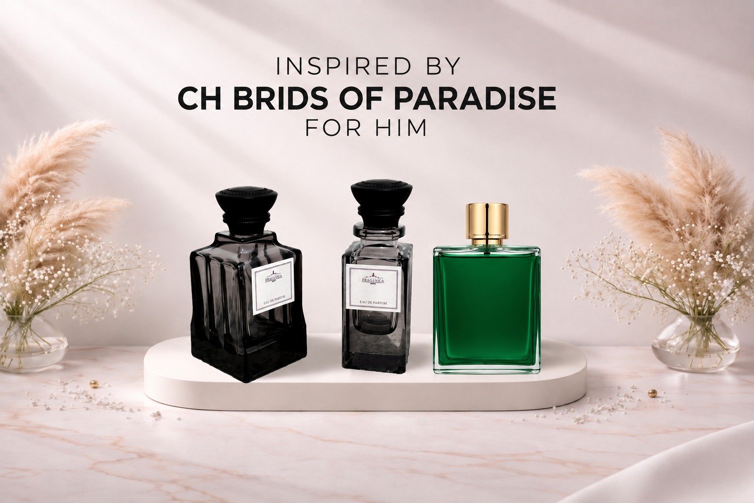 Ch Birds Of Paradise