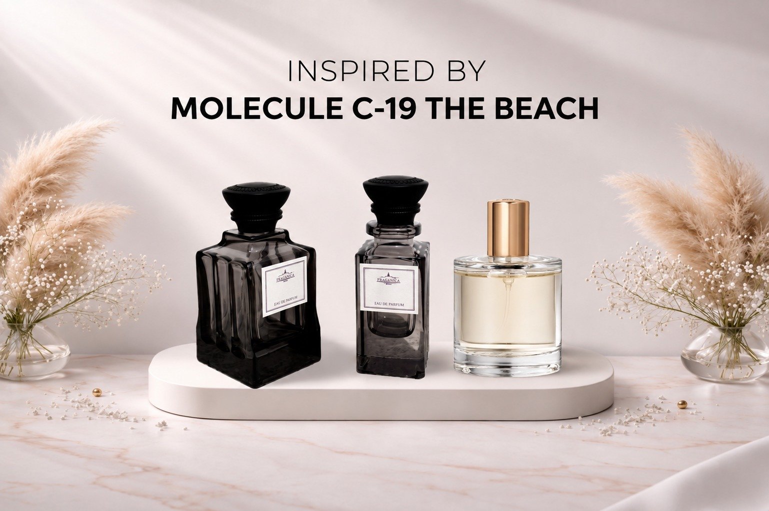 Molecule C-19 The Beach