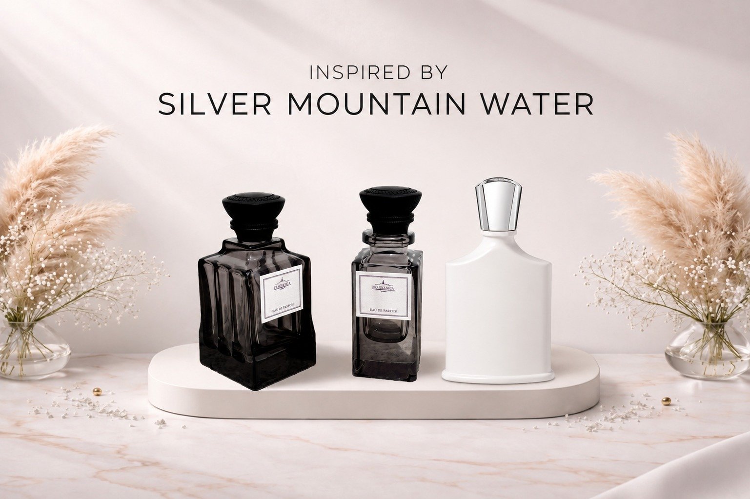 Silver Mountain Water