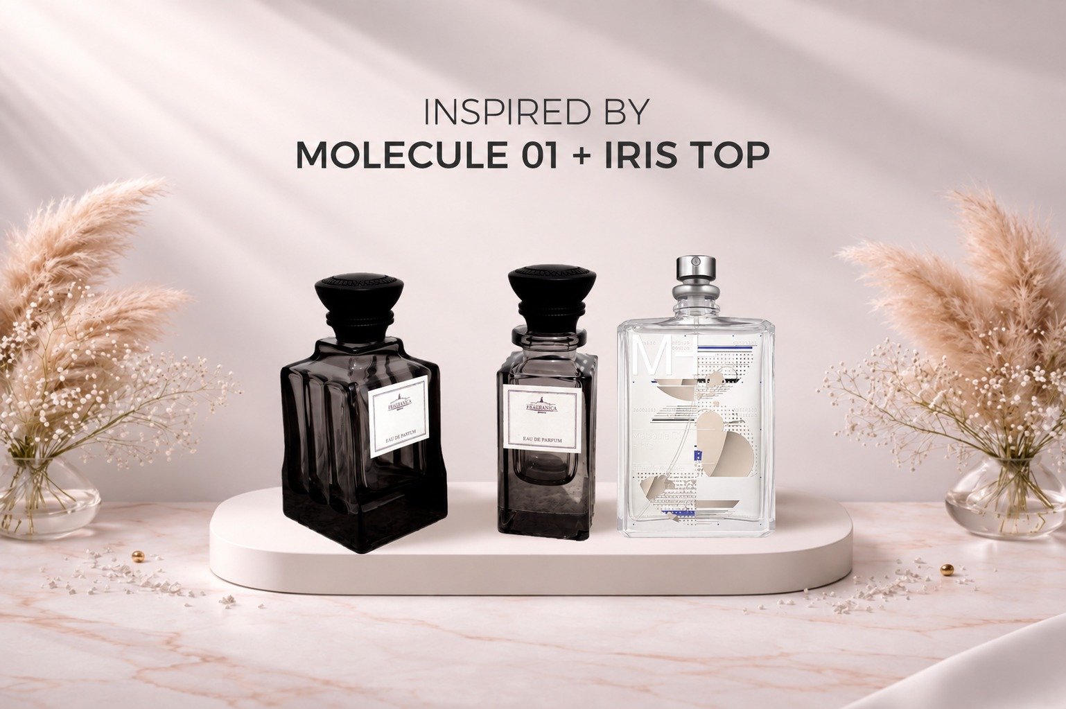 Molecule 01+Iris Top