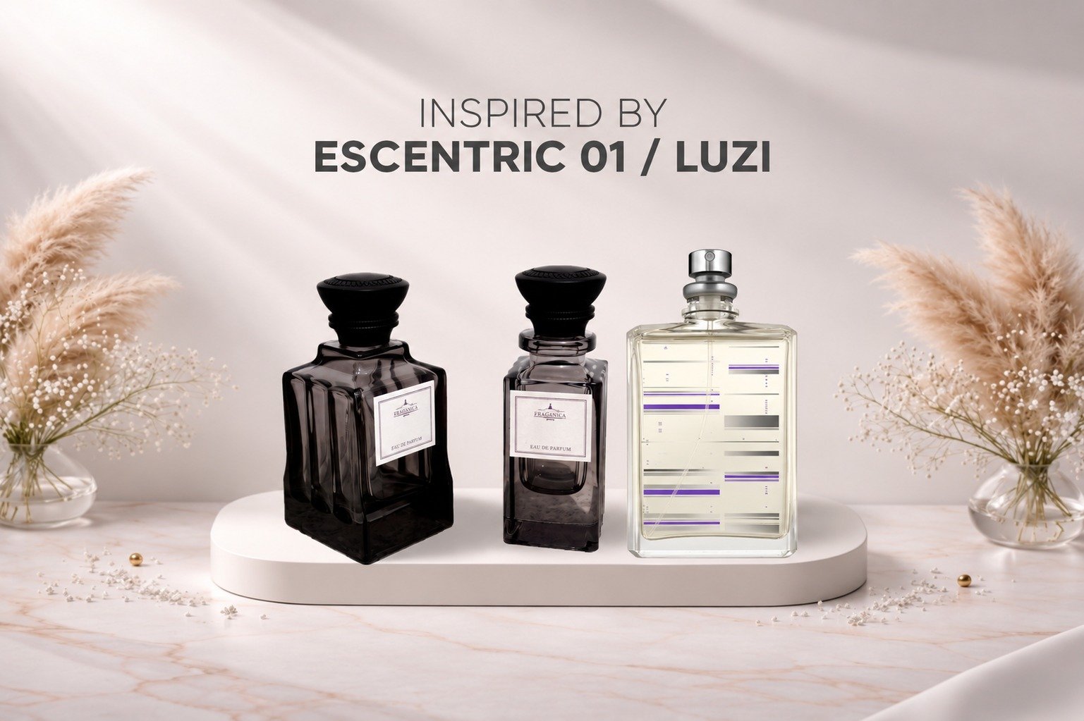 Escentric 01 / Luzi