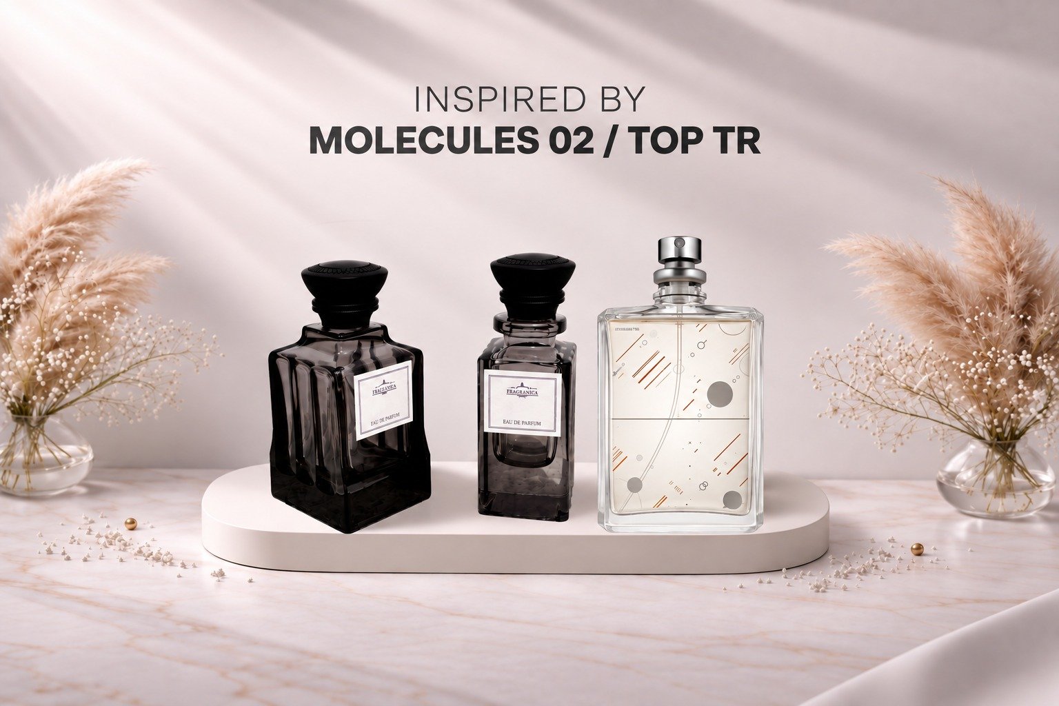 Molecules 02 / Top TR