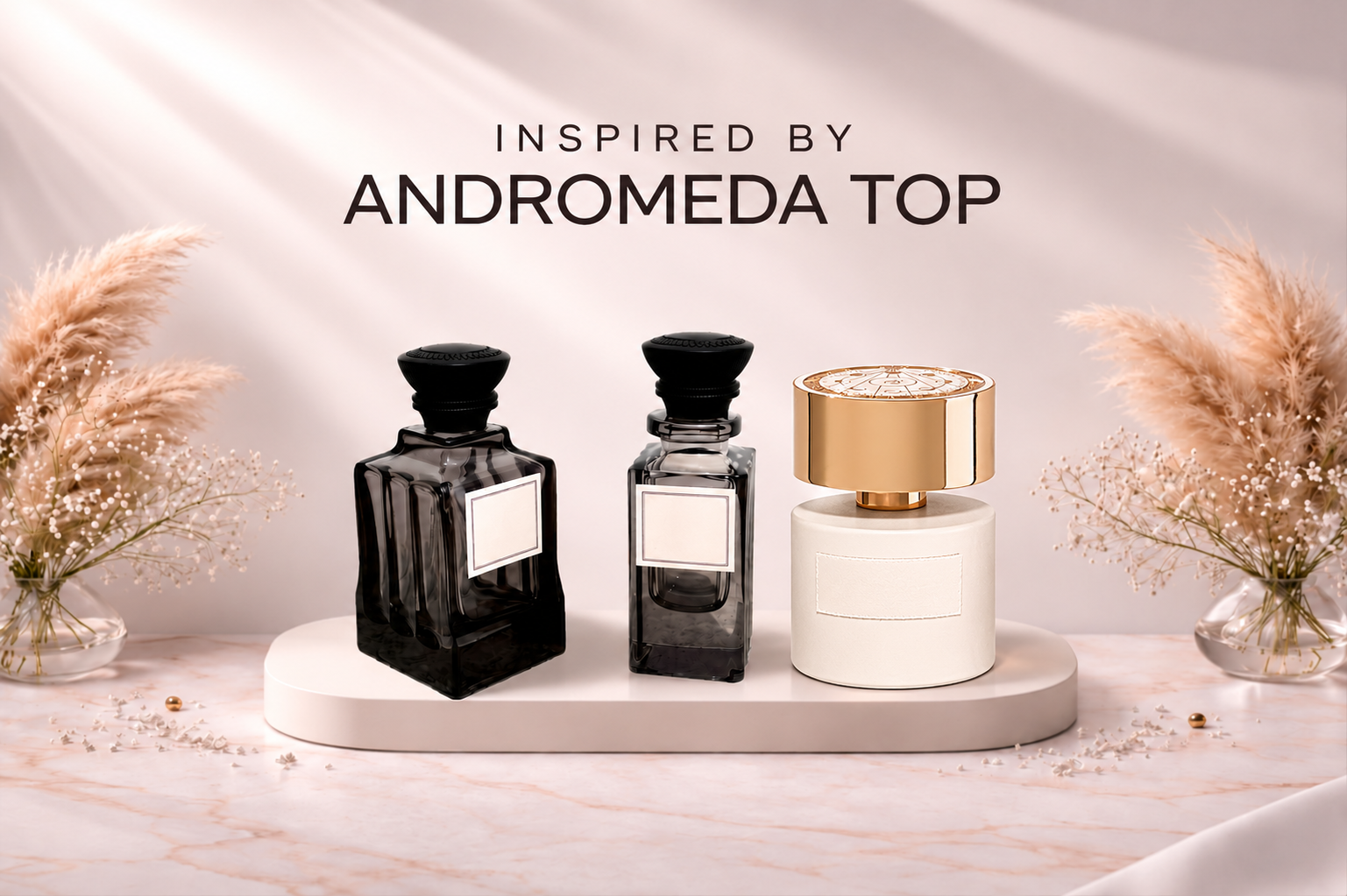 Andromeda Top