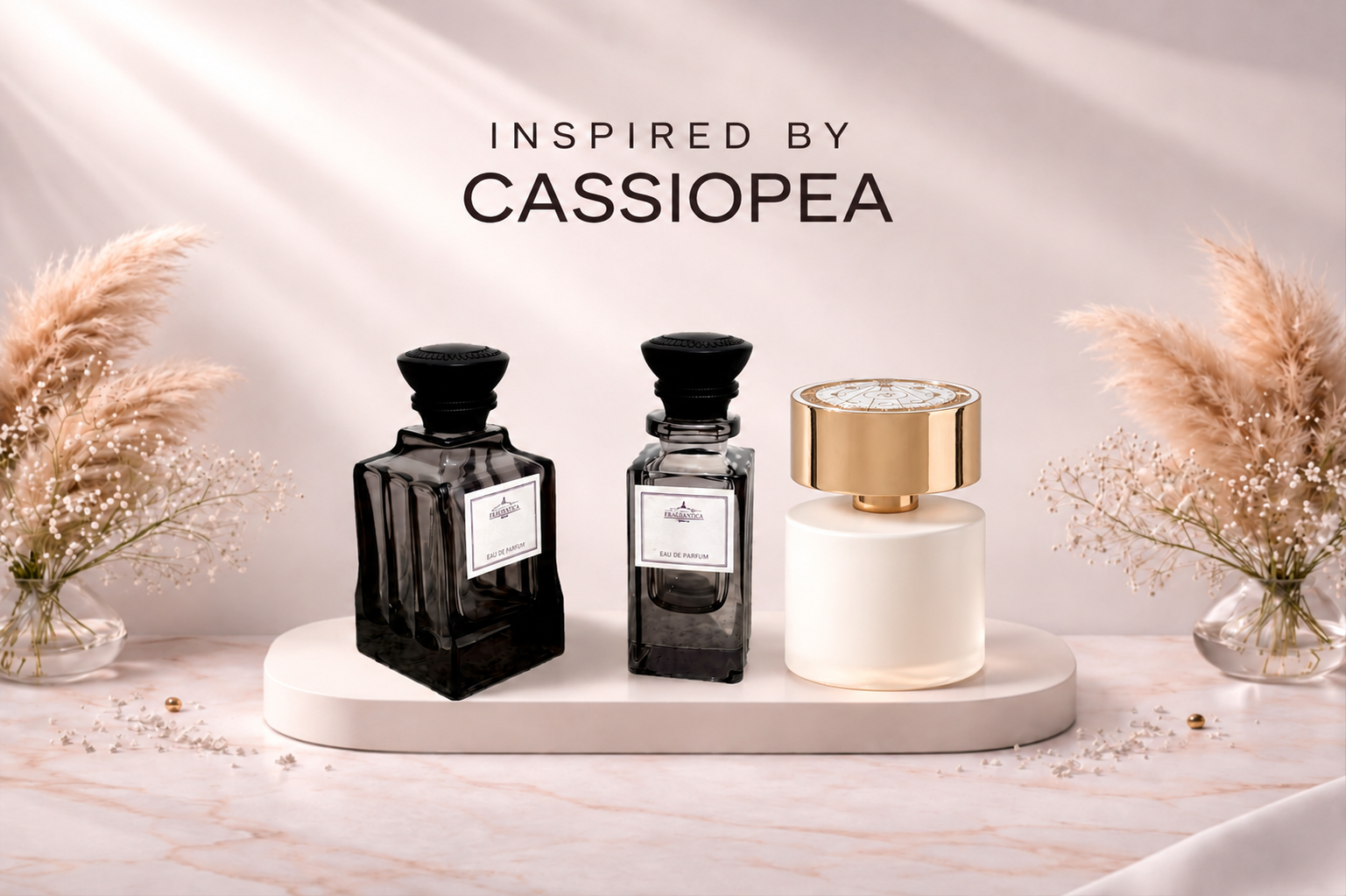 Cassiopea