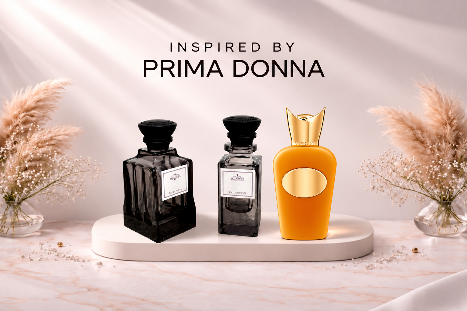 Rima Donna