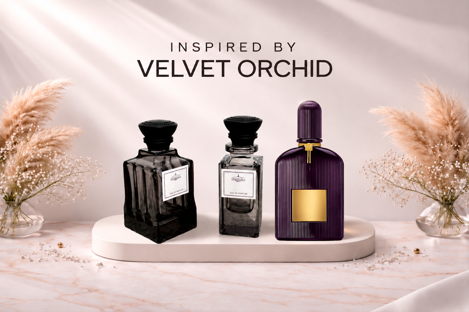 Velvet Orchid